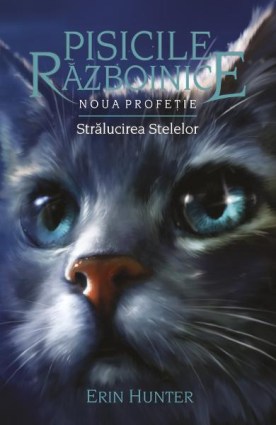 pisici 10